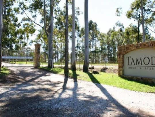 Tamodi Lodge Плеттенберг-Бей Экстерьер фото